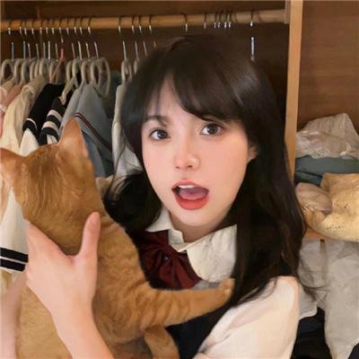 茅趸王